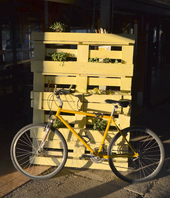 Planter made by the yellow team