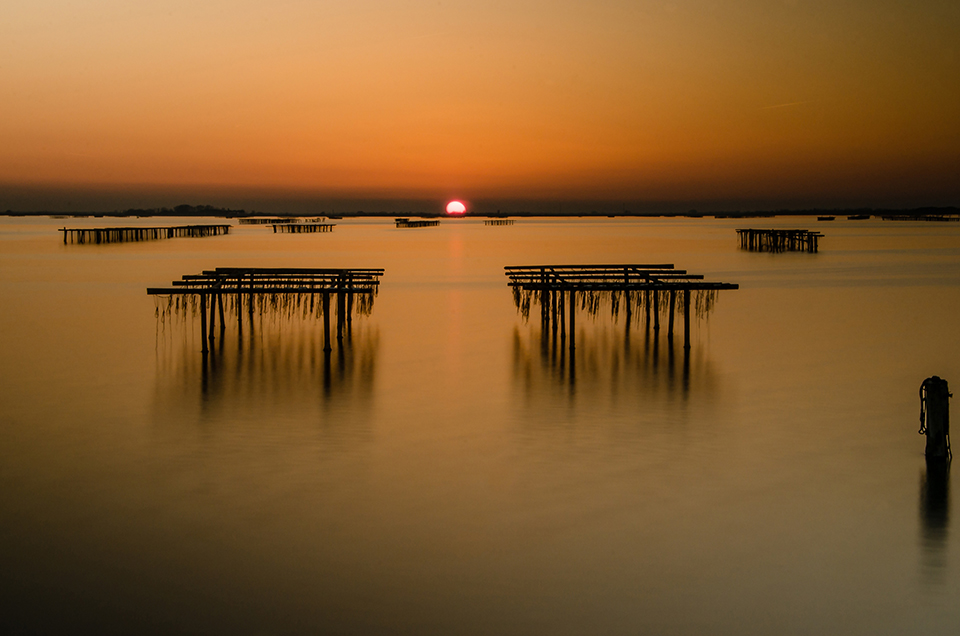 Luca Zonari Cane’ - Tramonto in Sacca di Scardovari (2014)